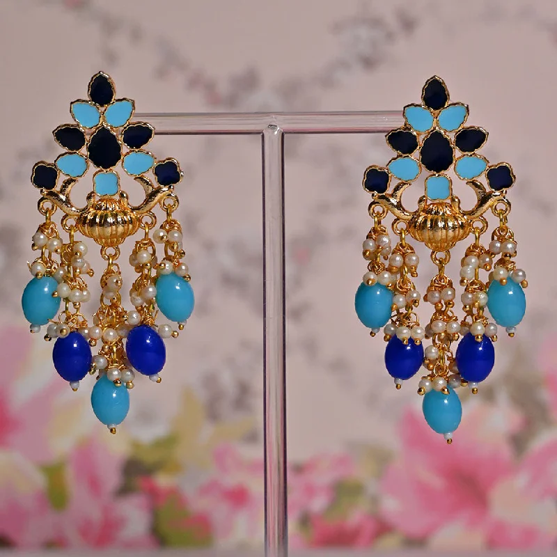 women’s gold-plated earrings-Shagna Gold Plated Meenakari And Pearls Dangler Earrings