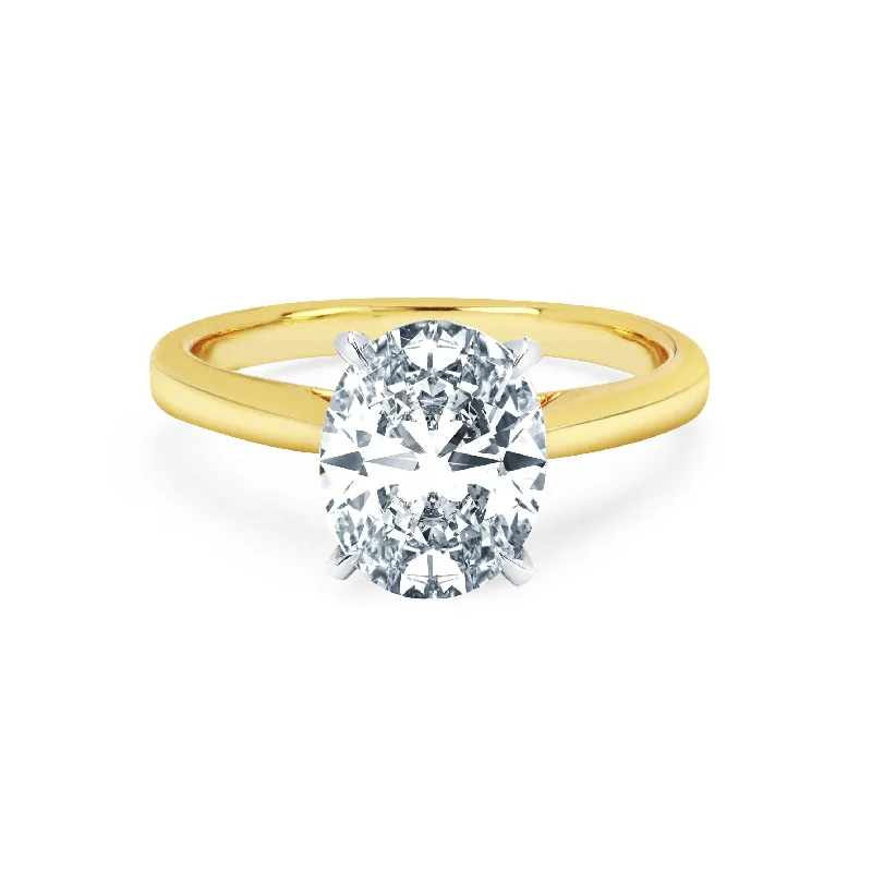 women’s simple engagement rings-Eternal Oval Diamond Ring Setting